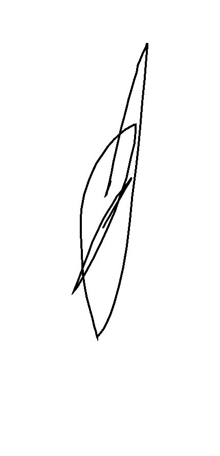 Firma del cliente